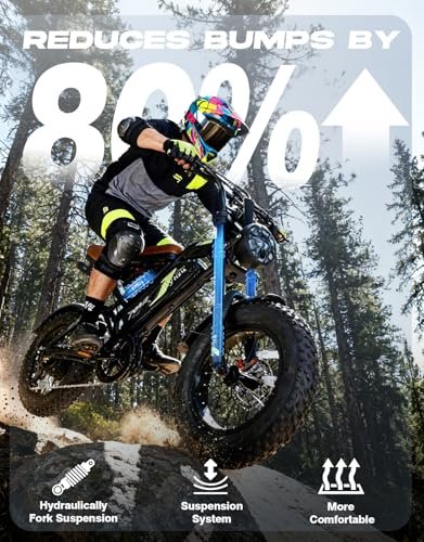 Electric Bike for Adults e300,1000W Peak Motor ebikes,48V/15.6AH 30-50 Miles Electric Dirt Bike,16” Fat Tire e Bike for Mountains, Snow, Sand, Road，28MPH Bicicleta elctrica para adultos，ebike
